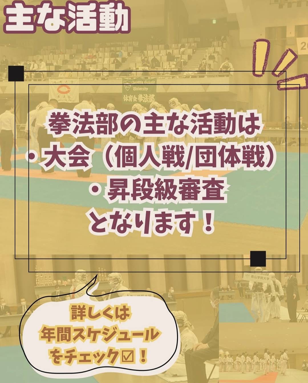 主な活動