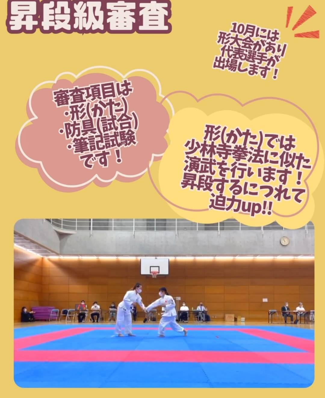 審査内容